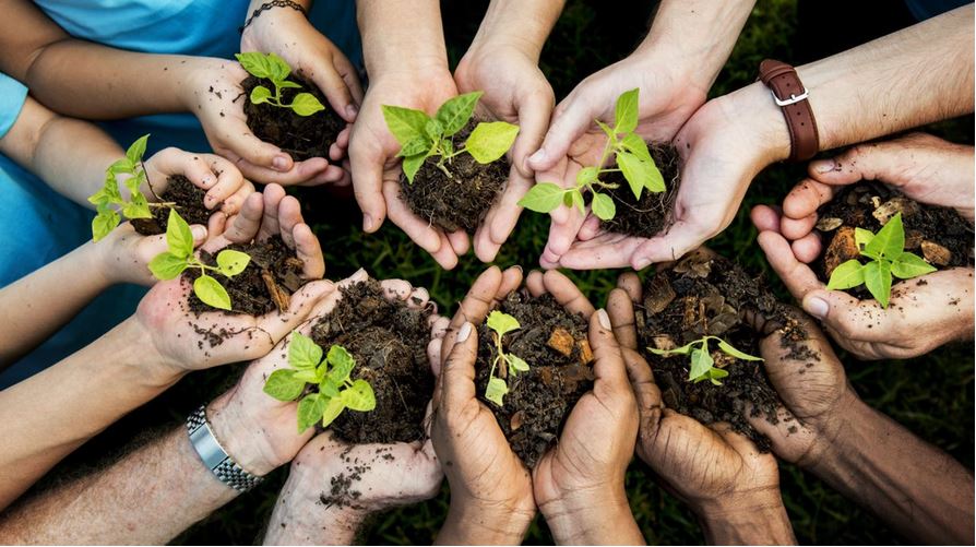 STEWARDSHIP OF OUR BODY